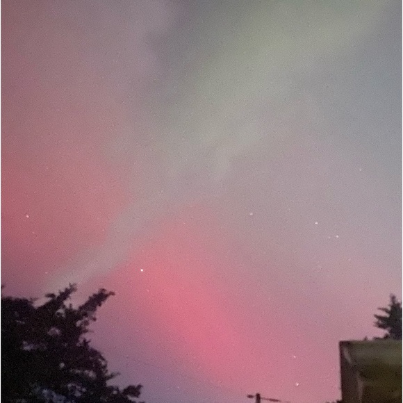 Meet your Posher, Cora - Picture 1 of 1